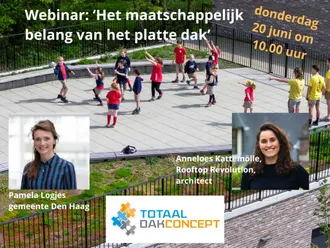 Webinar over het maatschappelijk belang van het platte dak
